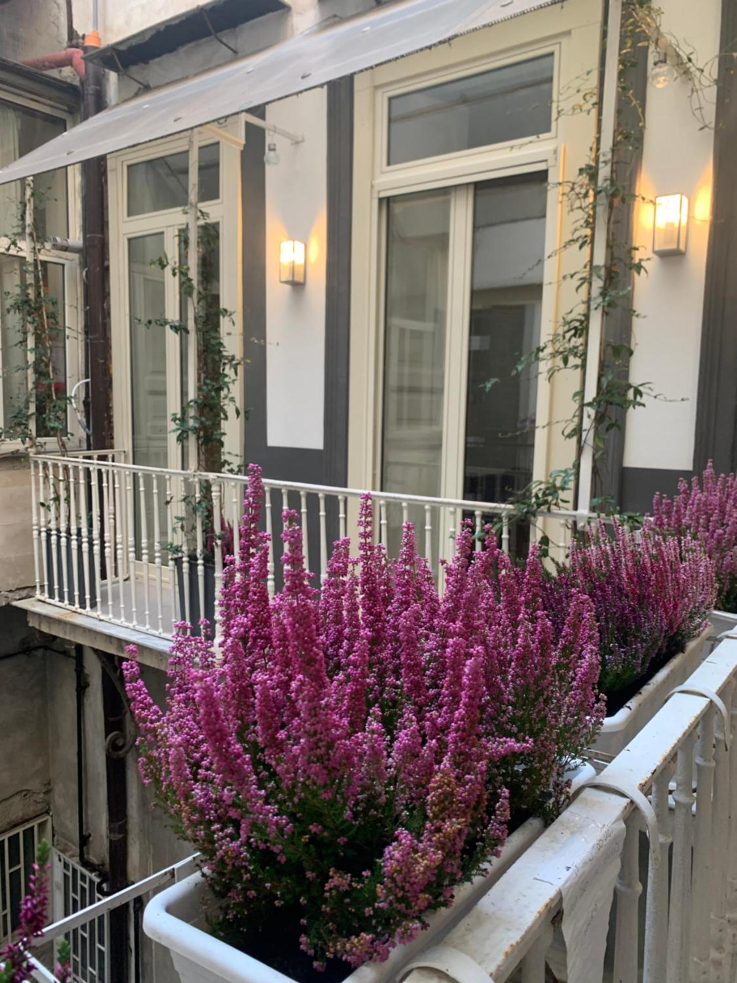 Casa Orlanda Apartment Naples Exterior photo